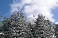 ��Ƃ̃R���g���X�g��������