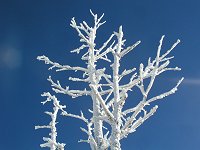 �͂�؂̂т�����Ɩ��X���I