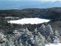 ����r�����[�߂��B