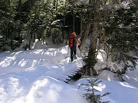 �������̋���n��Ȃ��牺��B