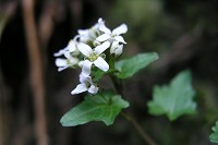 �������T�r