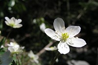 �j�����\�E