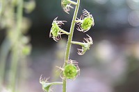 �R�`���������\�E