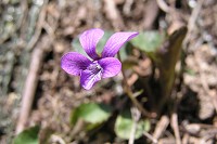 �A�J�l�X�~��