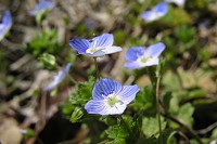 �I�I�C�k�m�t�O��