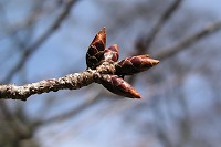 ���������̍��̂ڂ݂͂܂��܂������B