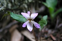 �q�i�X�~��