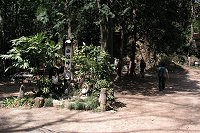 �������t�߁B�E�֍s���Ɨ��������ʁA���֍s���Ɛw�n�R���ʂ��B