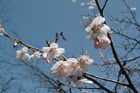 ����ƍ����炫�o�����E�E�E�B