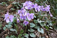 �A�J�t�^�`�c�{�X�~��