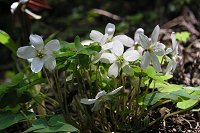 �~���}�J�^�o�~�B