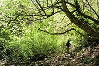 �V�΂̒�������܂��B