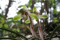 �V��������