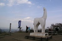 �w�n�R�R���̔��n�̃��j�������g