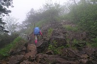 ����Ɋ₪�I�o���Ă��ĊK�i��N�T�����o�Ă��܂��B