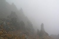 �ʐ^�ł͓`���ɂ��������Ȃ苭�����������オ���Ă���I�I