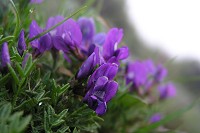 �I���}�m�G���h�E