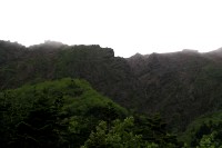 �n�����������B�V�]���������Ă���B