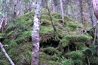 �ۂ̎R�B������ƃJ�b�R�C�C�`