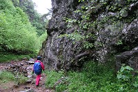 ����ȑ�₪�������肷��B