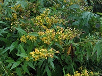 �A�L�m�L�����\�E