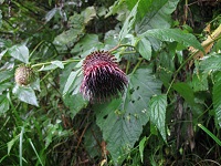 �I���}�{�N�`