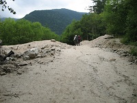 ���̂����舲��ŉ^�΂�Ă������������������ł��B