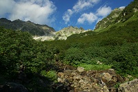 ���̂�����H�ɂ̓i�i�J�}�h���^���Ԃɐ��܂�������������B