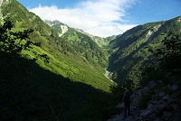 �����͖{�J�̉��̕����悭�����Ă���B