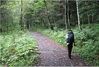 �P���ȗѓ����Ђ���������E�E�E