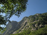 ���グ��ƛ����₪�ނ���I�I