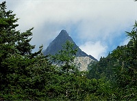 ����Ƒ��̑S�e���݂��܂����I�@���ł�����I�I