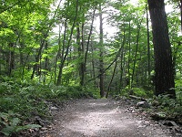 ������������̂ŐX�̒������邭�C�����������ł��B