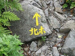 ���͂������I�I�I