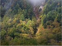 �_�Ԃ�������������ށI