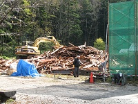 ���X�ׂ̗̌����͎��󂵂Č��Ē����悤�ł��B