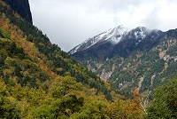 ������̐���̉��t�Ɖ��������̊���B