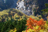 �����̊┧�̍g�t�B