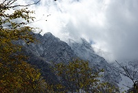 �k�䓌�ǂ��Ⴊ���r�X�����������Y���B