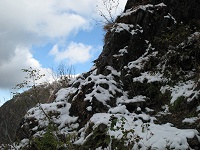 ���̊�̂Ƃ���Ŕs�ނ����B��łǂ�������Ȃ̂�����Ȃ��E�E�E