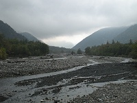 �傫�ȗt���ς̌��͂��`��H