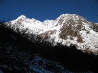 �P���k��B����̎}�̗t���������藎���Ă��܂����B