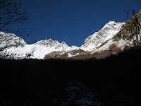 �_�X�����������䍂�I�I