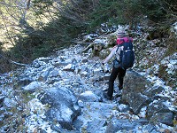 ���e�͐Ⴊ�����Ă��ĕ����ɂ����B