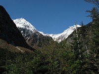 �L���b�g�������P���B