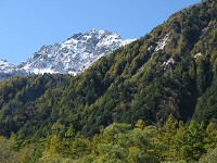 ���_�x�����Ⴕ�Č����Ă���B