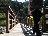 �����勴�ɓ����B