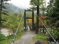 �V�����̂܂����H�F���B