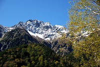 �_�P�J���o�̌������ɋ}�s�Ȗ��_�x�B