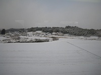 ����������͐�i�F�B